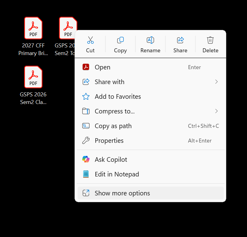 Windows Show more options